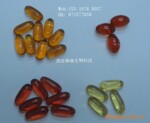 批发供应性保健品 美国原装进口保健品缩阴胶囊 保健品厂家批发