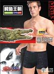 供应新潮男士2120时尚印花木代尔平脚内裤