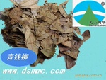 ��Ǯ������Ȼ�����衡��Ѫ�ǣ�
