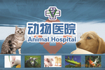 �ṩ ����������������������Ʋ�����ֽ������