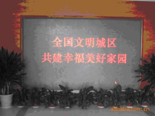 ��Ӧ�Ϻ�LED��ʾ�� ��ɫ ˫ɫ ȫ��  ���� ��װ ά�� ����