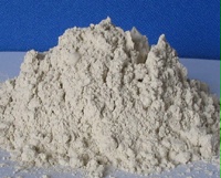 供應優質普通型肥料級沸石粉
