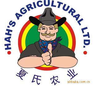 公司办公楼