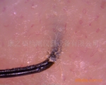 ��֮��KZF-1700Uרҵ500������ͷƤë�Ҽ����-����������ѡ