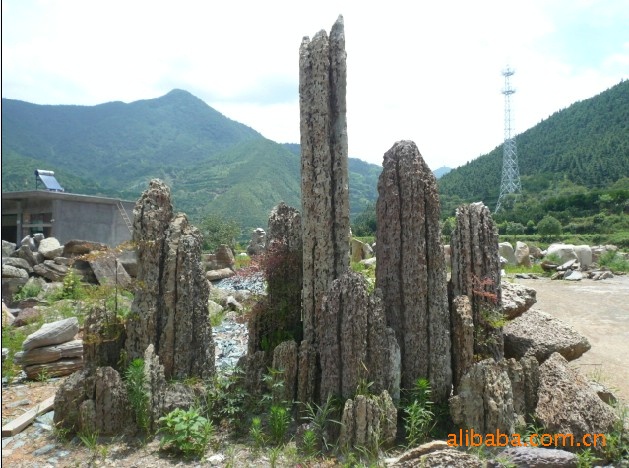 石笋石是造园的重要石种,高大者最宜布置庭园,也宜置于树木,竹林之侧