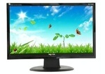 �����Ի� ��ʿsgoco��ƷE246WG����