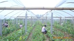 ��Ӧ����������硢��ӭ����ɹ�