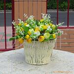 �������滨�ɻ���7���Ҹ��������õ��С������