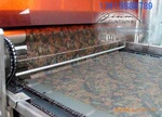 供应水转印工艺/水转印设备/水转印水转印膜(图)
