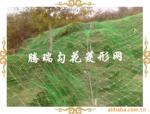 ��Ӧ����TR ɽ�廬�·�����(ͼ)