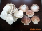 ��Ӧ���ı��ο�/����/���ǹ���ԭ��/��Ȼ����