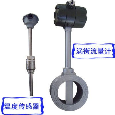 RS485蒸汽流量计、LUGQ-DN80流量计、涡街流量计
