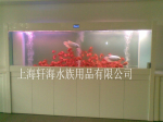 【索浦鱼缸】轩海水族工程案例-上海民生银行 电话咨价