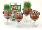 塑料杯非洲草娃娃 长草娃娃/草头娃娃 青草种植 创意礼品 工艺品
