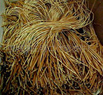 ����ţƤЬ������ƤЬ����Ƥ��Ь����Leather laces