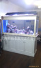 索浦鱼缸-东方路实体大理石海水珊瑚缸 大理石 8800/米