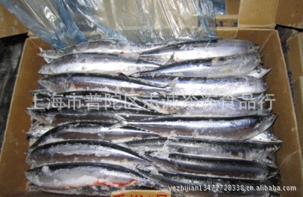 秋刀鱼，台湾秋刀鱼,冷冻水产品