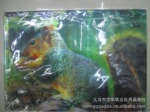 儿童节礼品 促销礼品 三维立体画拼图 松鼠拼图 新产品