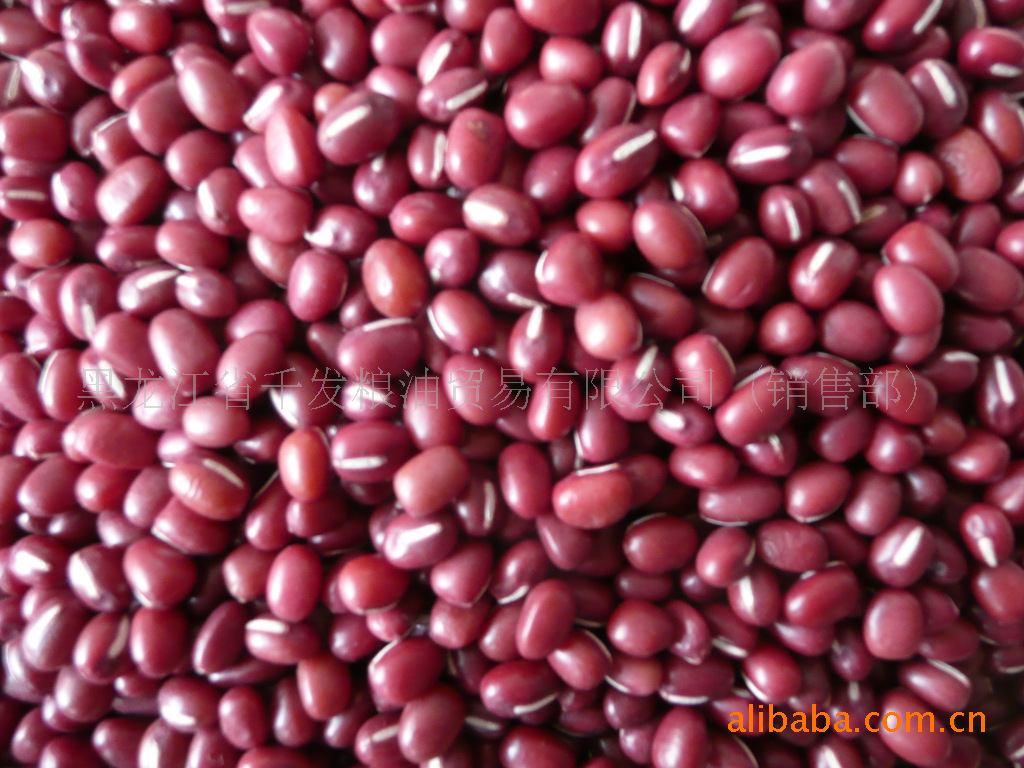 現大量出售供應中粒紅小豆，手選，3.0—5.5之間，7200元/噸,