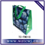 �޷Ĳ���Ĥ��