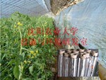 ����ũҵ��ѧ רҵ��Ӧ �����߲˵��÷���Ļ ���Ҵ������
