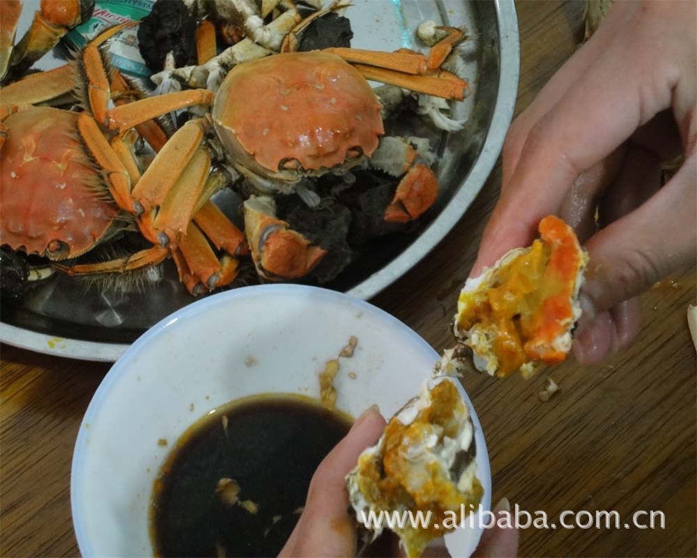 阳澄湖大闸蟹美食--流口水的进!