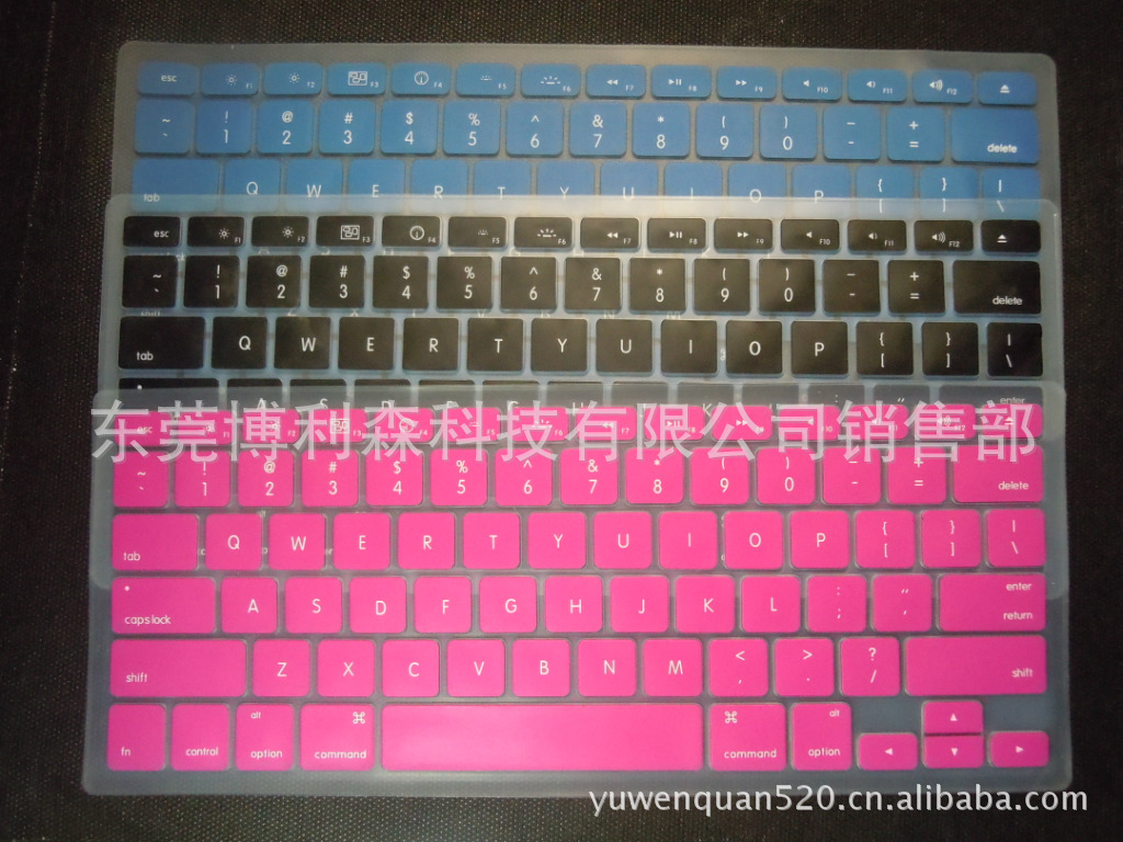 DSCN6313