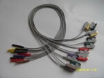 �ṩ��̬HOLTER����