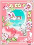 直销51节礼品|丽水3D卡通镜子|化妆包带化妆镜