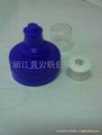 供应定制PET化妆品包装瓶盖模具