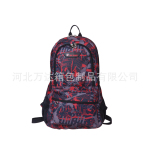 动感十足样式新颖贝格斯瑞韩版尼龙双肩包