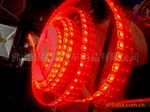 5050SMD 1米60灯滴胶防水灯条
