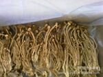 批发供应干货5公斤精品茶树菇(图)