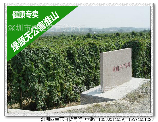广西桂平市金田绿源淮山村有限公司淮山生产基地 