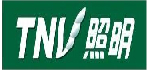 TNV������