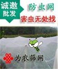 供应尼龙筛网 新桥,聚乙烯网,窗纱网