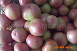 代收蔬菜