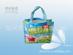 供应PE腹膜无纺布袋