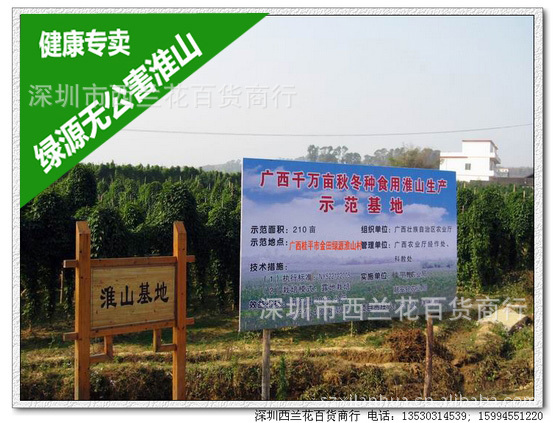 绿源无公害淮山 