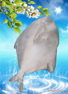 ��̨�ѳ�ˮ��������Ӧ���� �䶳�ּӹ�����Ʒ ��������