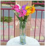 3叉玉针 仿真花批发 人造绢花 花艺空间