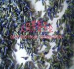 厂价现货批发薰衣草枕芯料 安神助眠效果好╱失眠人群的好伴侣