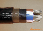 0.6/1KV����,����,�����,�Ϻ�����,�ͻ��������NHVLV-3+2о