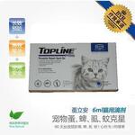 ������è�ó�����μ� 6ML/֧  Ӣ�������� רҵ�����Ʒ���