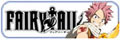 FAIRYTAIL������β�� 