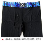 供应女士X系列新款保暖裤,女士秋裤,防寒裤,秋衣秋裤