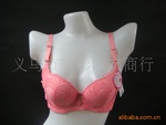 批发供应2911#磁活力女士内衣 四排扣调整型 B罩薄大杯聚拢文胸
