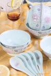 不沾油免洗餐具 抗菌 餐具套装 淄博陶瓷 礼品 活化烟酒食物