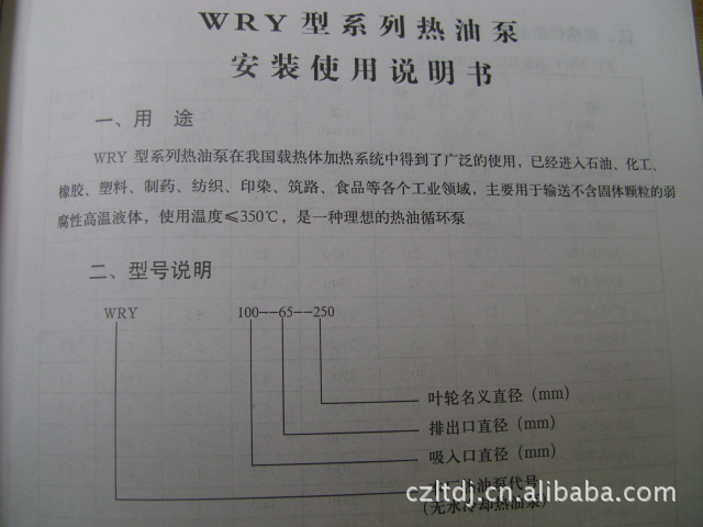 供应WRY100-65-190高温导热油泵