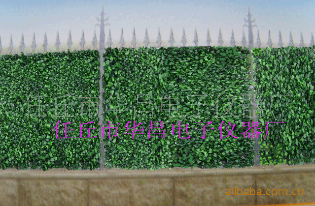 ,Ҷ,ֲҶӻ,ֲ